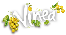 Logo Vinea